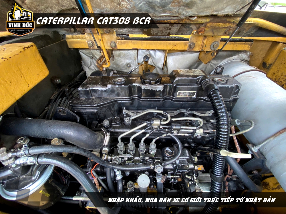CAT308 BCR (010)
